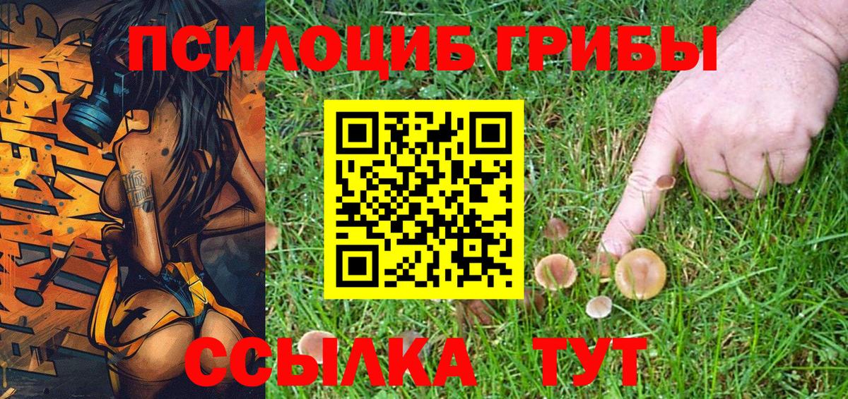 хочу   Псилоцибиновые грибы GOLDEN TEACHER  Родники  Вход с VPN  Псилоцибиновые грибы Magic Shrooms 
