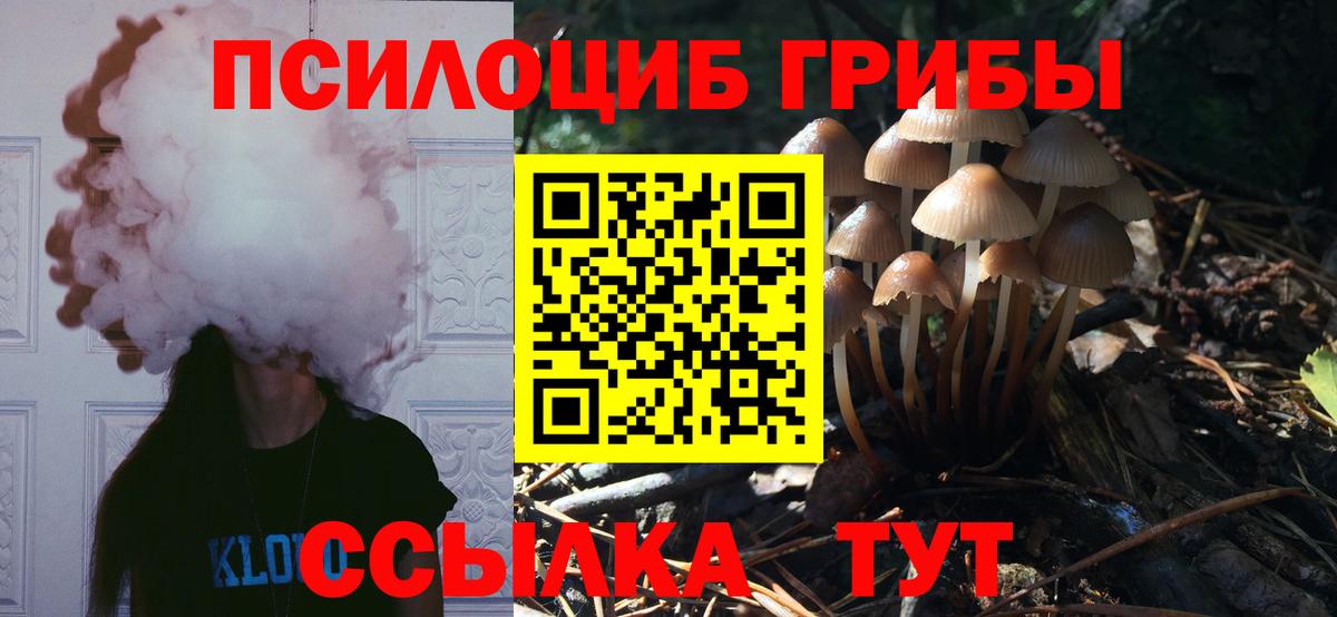 Галлюциногенные грибы GOLDEN TEACHER Родники